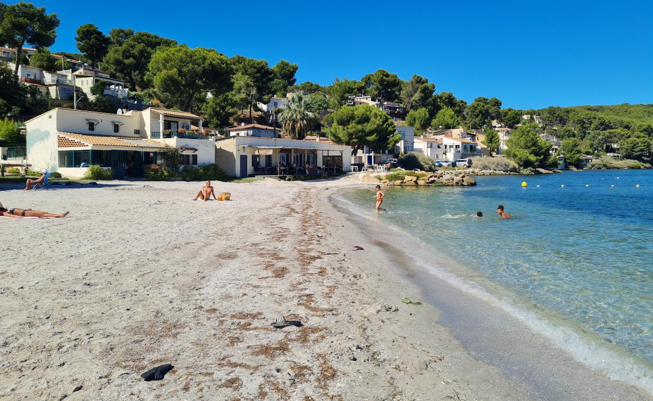 Foto de La Plage du Ranquet con guijarro fino claro superficie