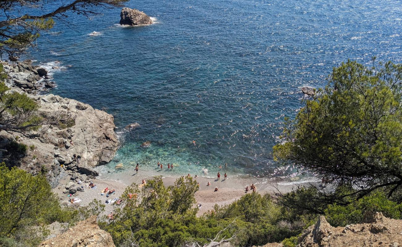 Foto de Plage du Mont Salva con guijarro fino gris superficie