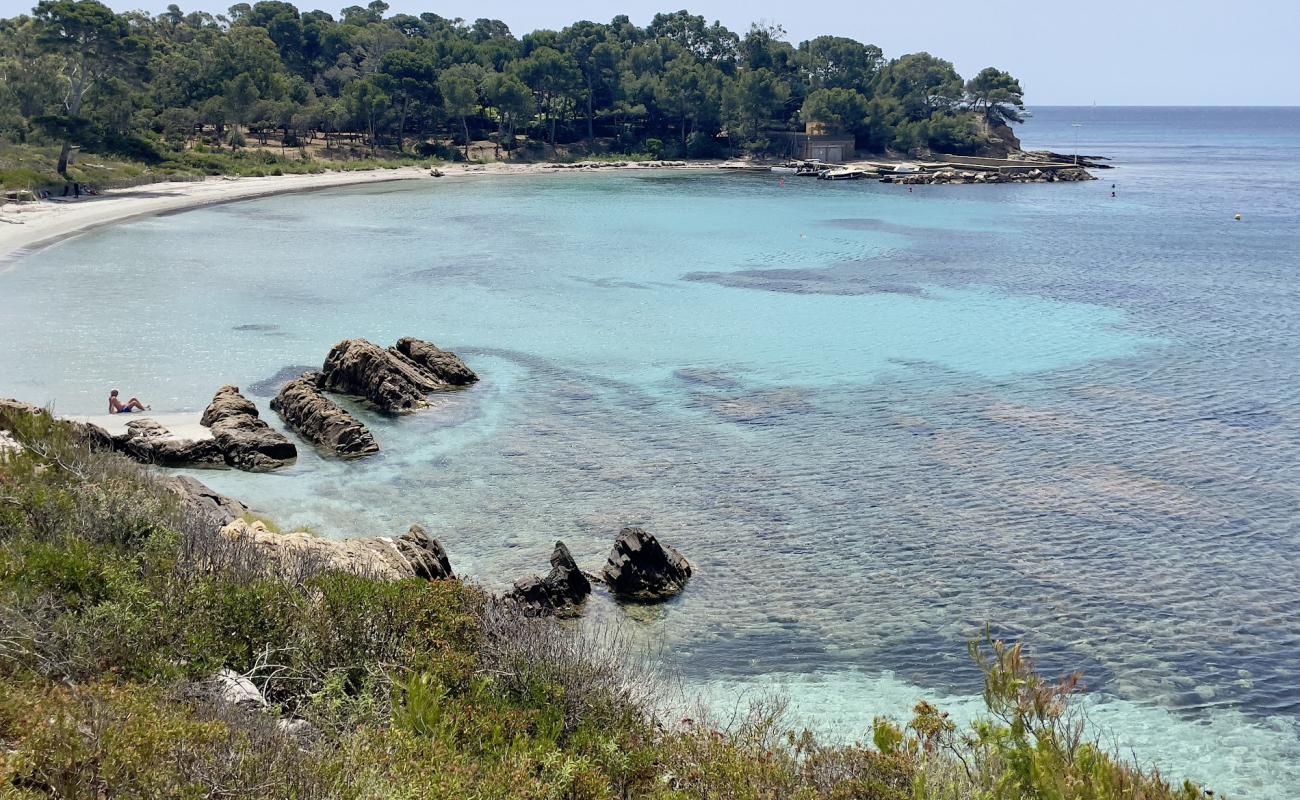 Foto de Plage de la Vignasse con arena brillante superficie