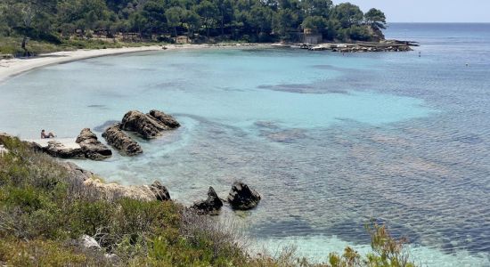 Plage de la Vignasse