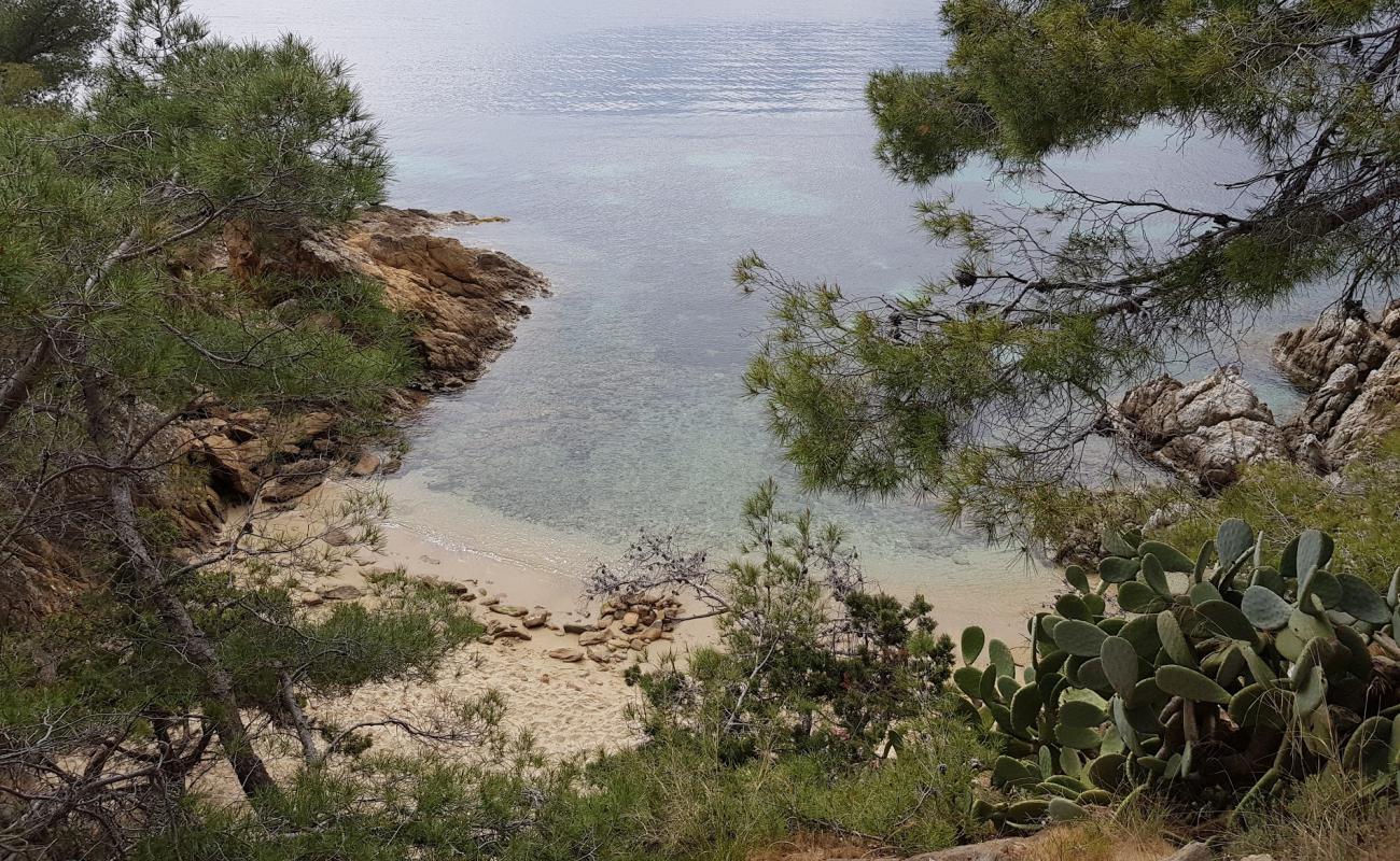 Foto de Plage naturiste du Rossignol con arena gris superficie