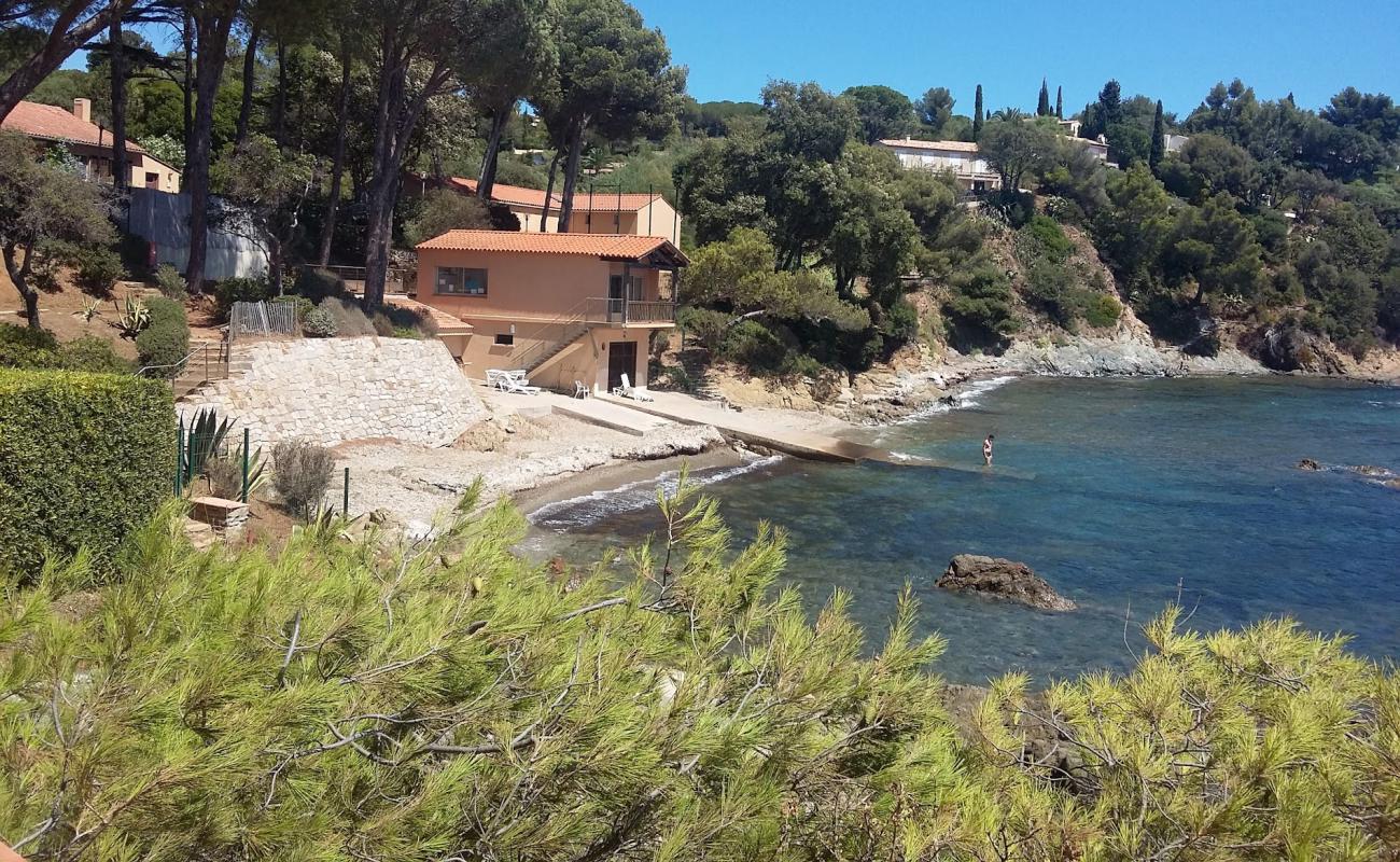 Foto de Plage de la Bouillabaisse con guijarro fino gris superficie