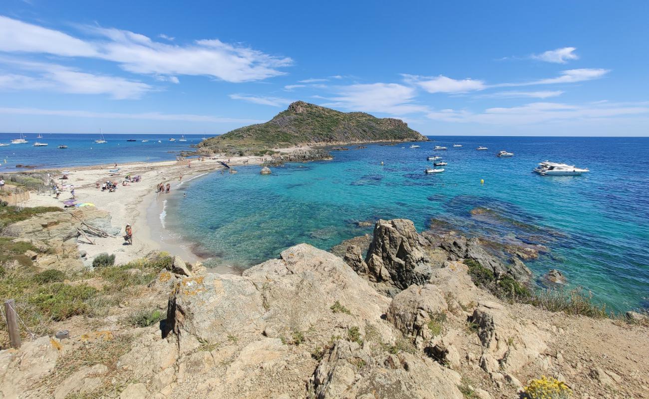 Foto de Plage Ranc con guijarro fino gris superficie