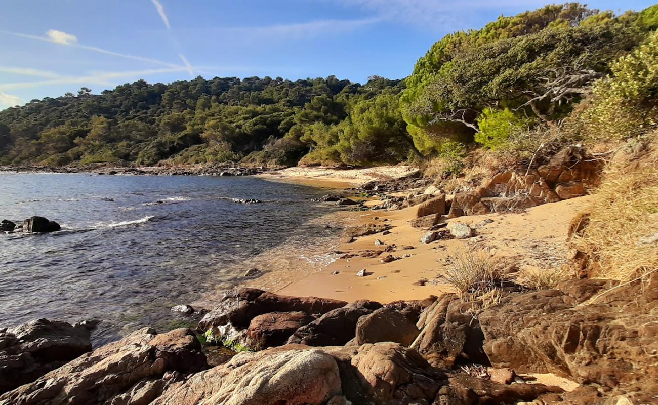 Foto de Plage de la Garrigue con arena brillante superficie