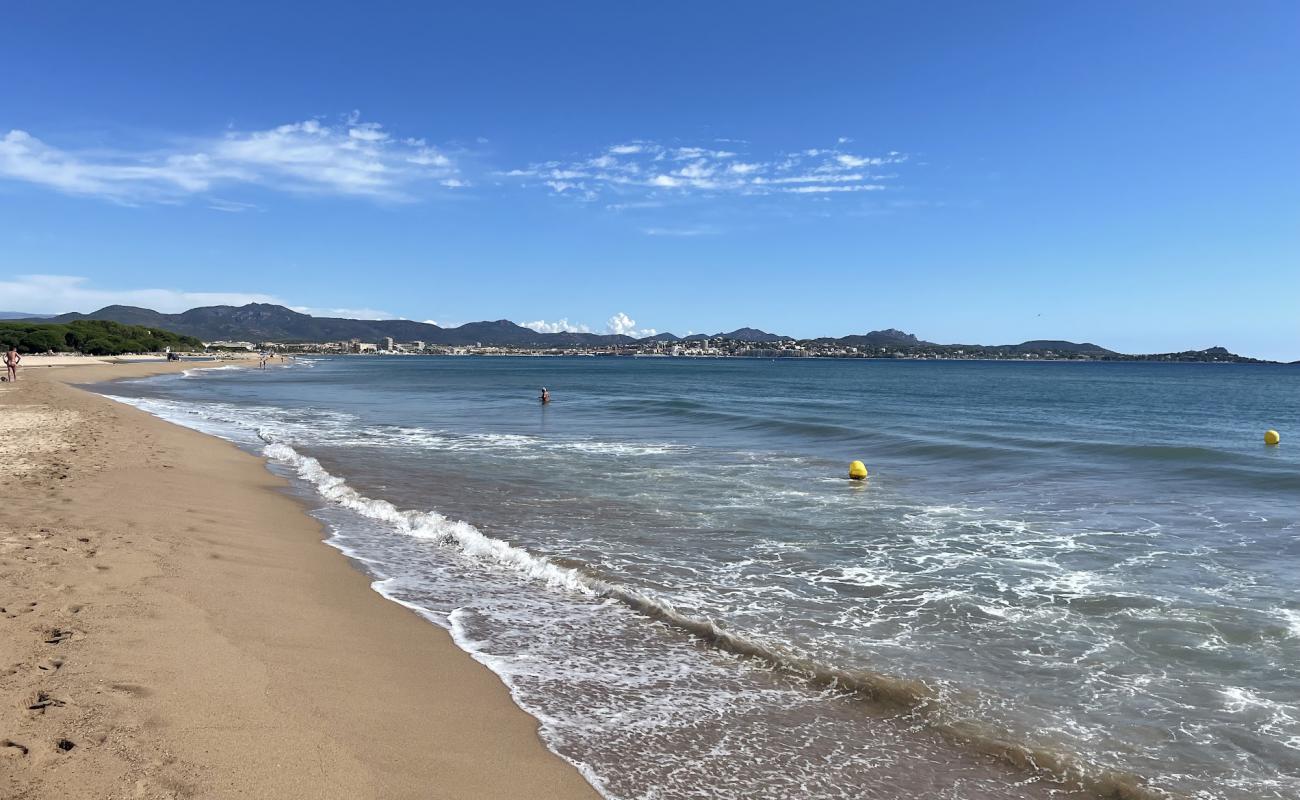 Foto de Plage naturiste des Esclamandes con arena brillante superficie