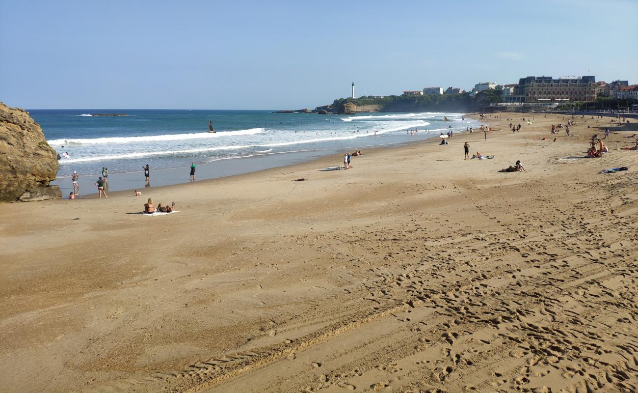 Foto de Plage Miramar con arena brillante superficie