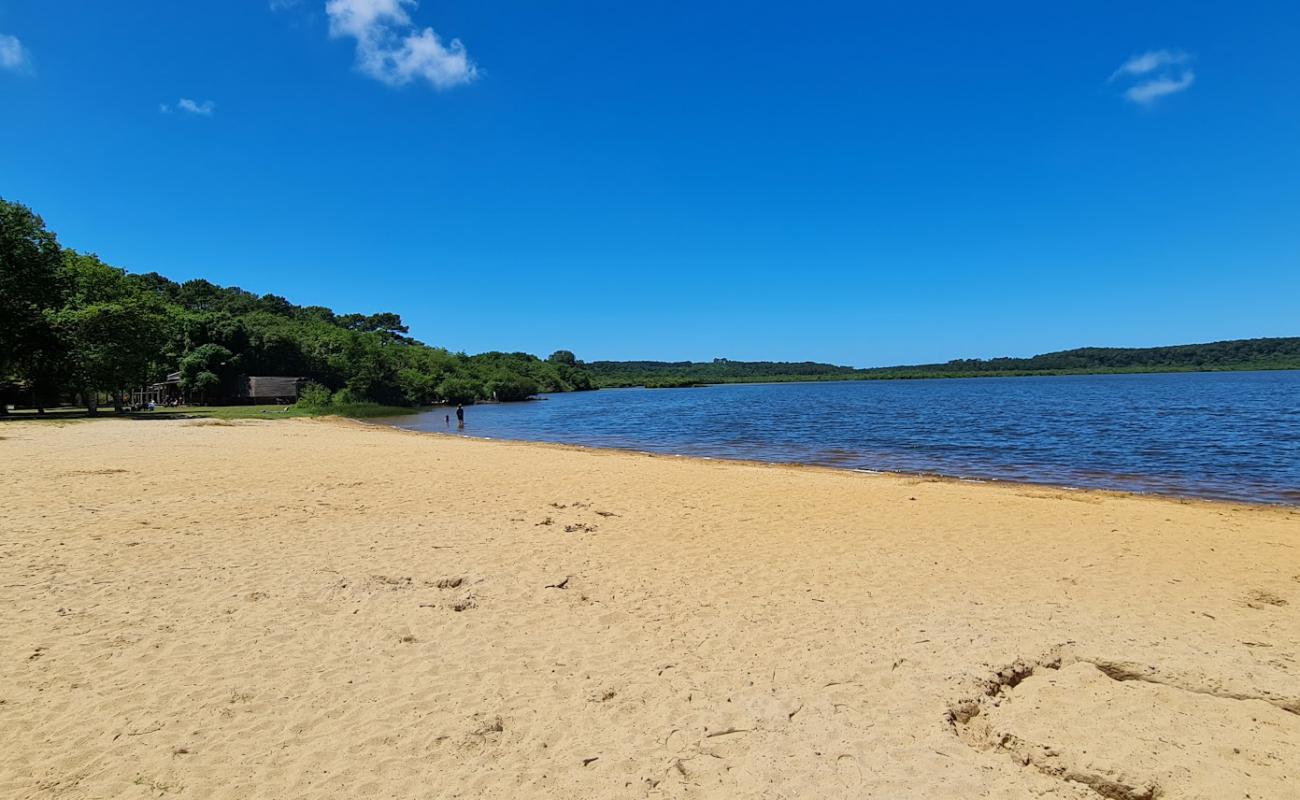 Foto de Plage du Lac de Leon con arena brillante superficie