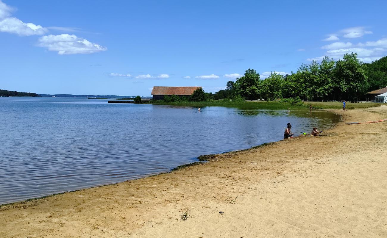 Foto de Plage Ste Eulalie en Born con arena brillante superficie