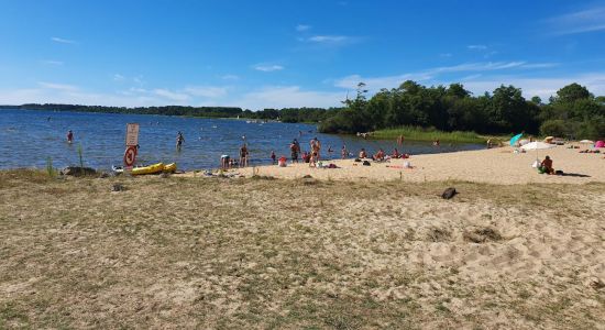 Plage Parentis en Born