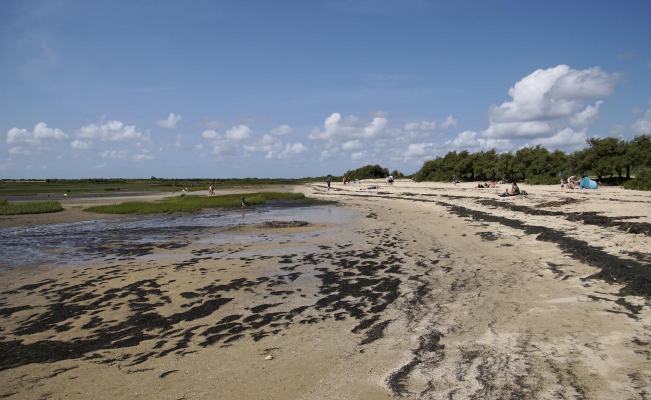 Foto de Plage de Graveyron con arena brillante superficie