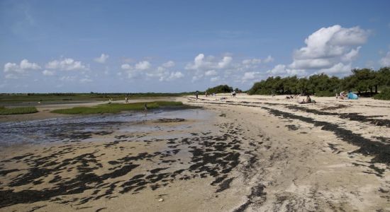 Plage de Graveyron