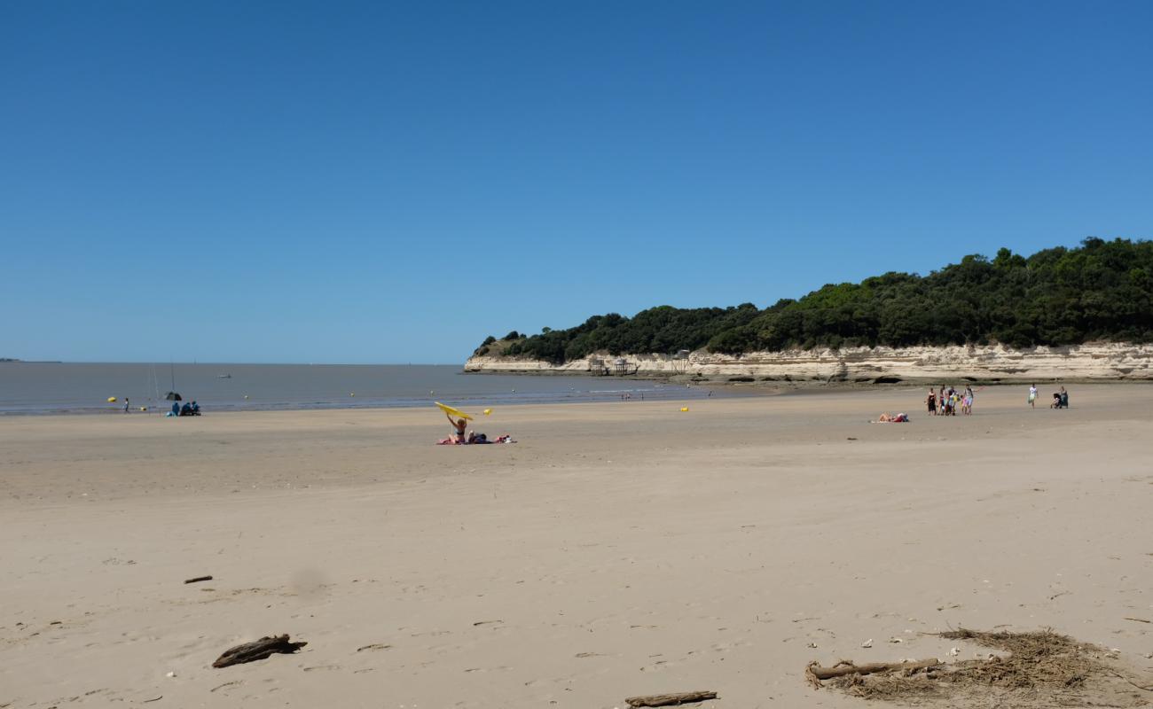 Foto de Plage de Suzac con arena brillante superficie