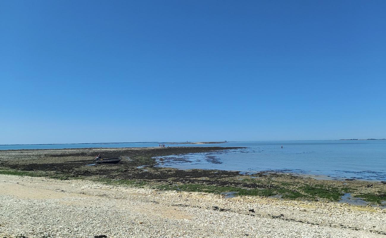 Foto de Plage Ile Madame con guijarro ligero superficie