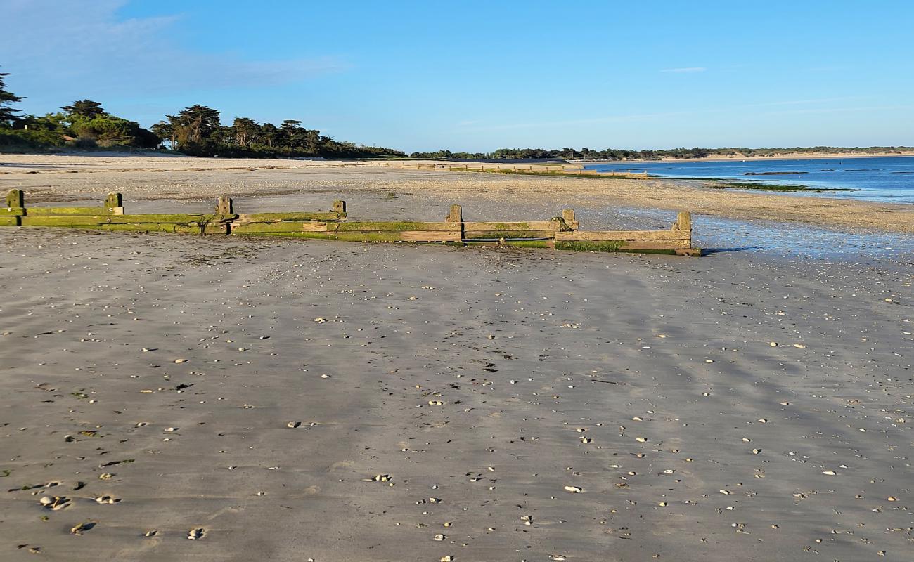 Foto de Plage Le Martray con arena brillante superficie