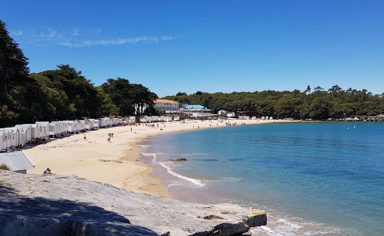 Foto de Plage des Sableaux con arena brillante superficie