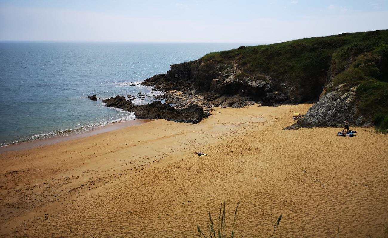 Foto de Plage des Choizeau con arena brillante superficie