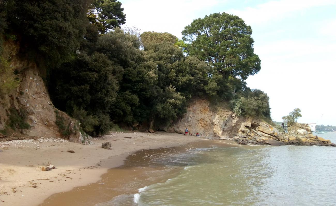 Foto de Plage de Port Charlotte con arena brillante superficie