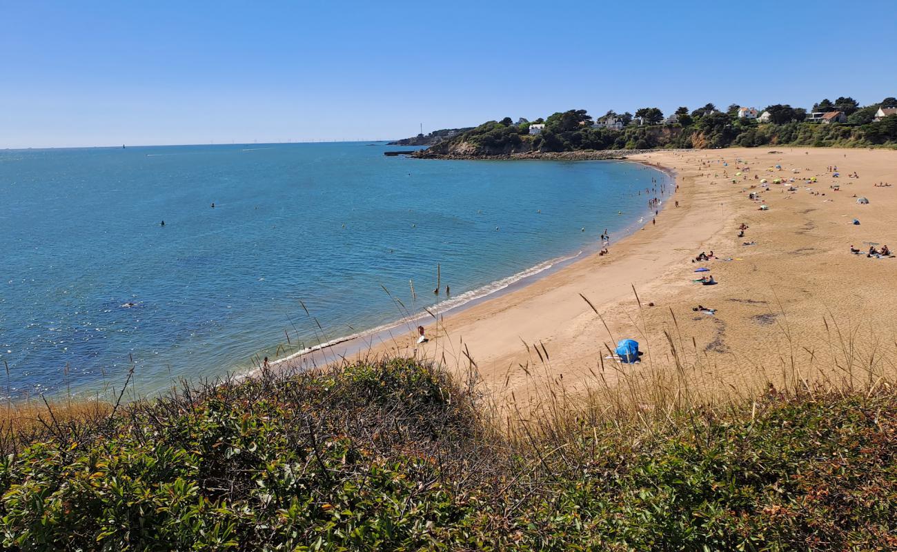 Foto de Plage de la Courance con arena brillante superficie