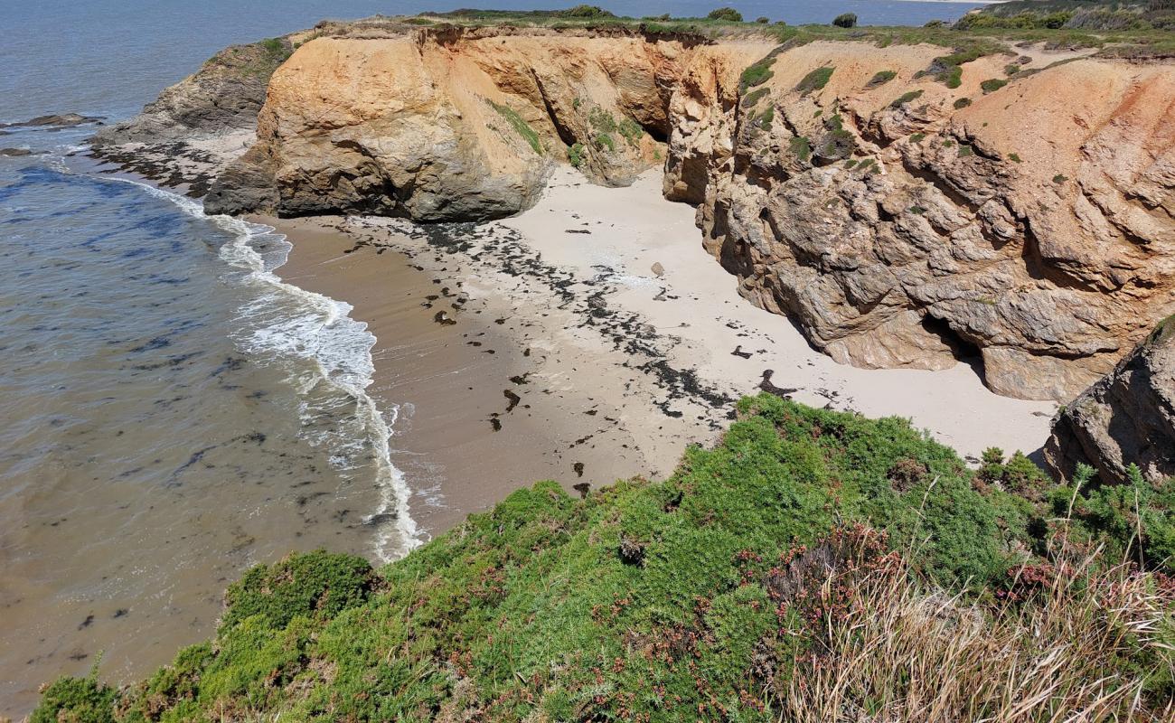 Foto de Plage De La Marche Aux Boeufs con arena brillante superficie