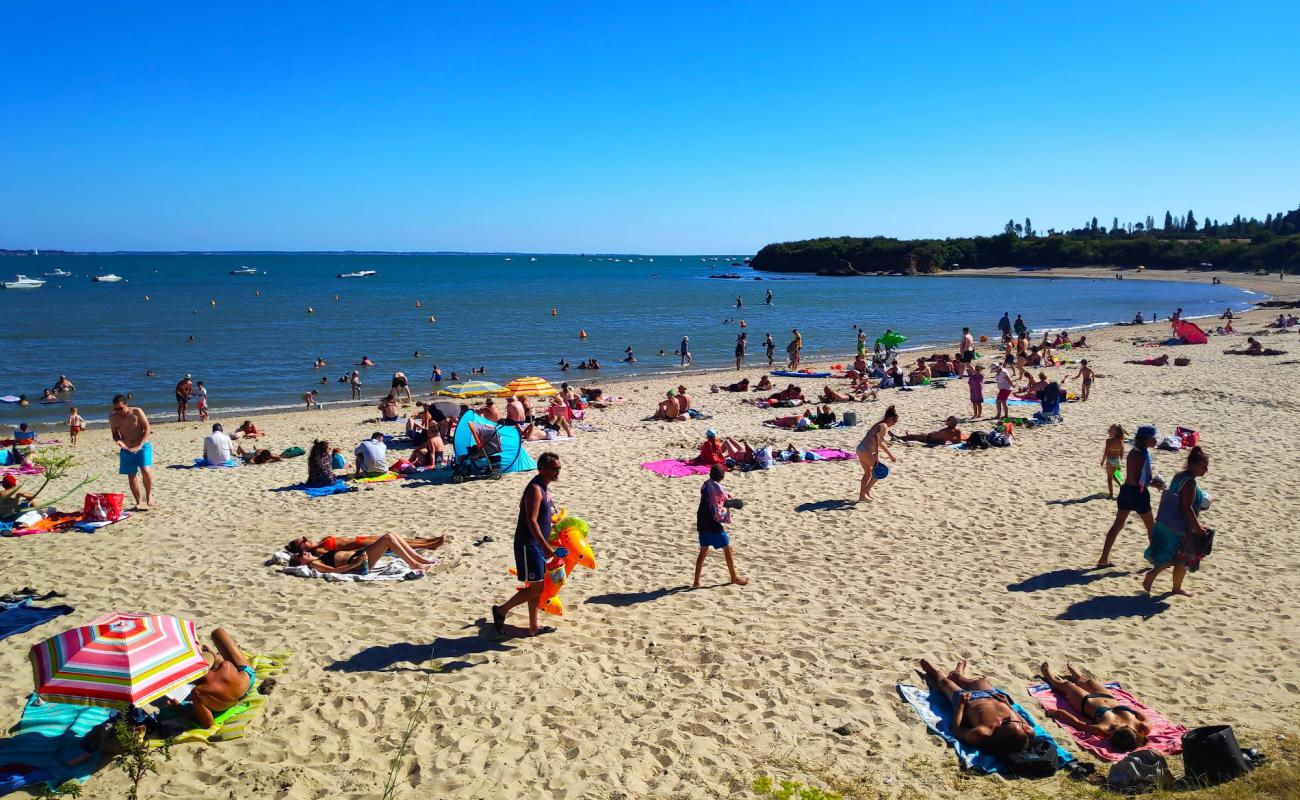 Foto de Plage de Treherve con arena brillante superficie