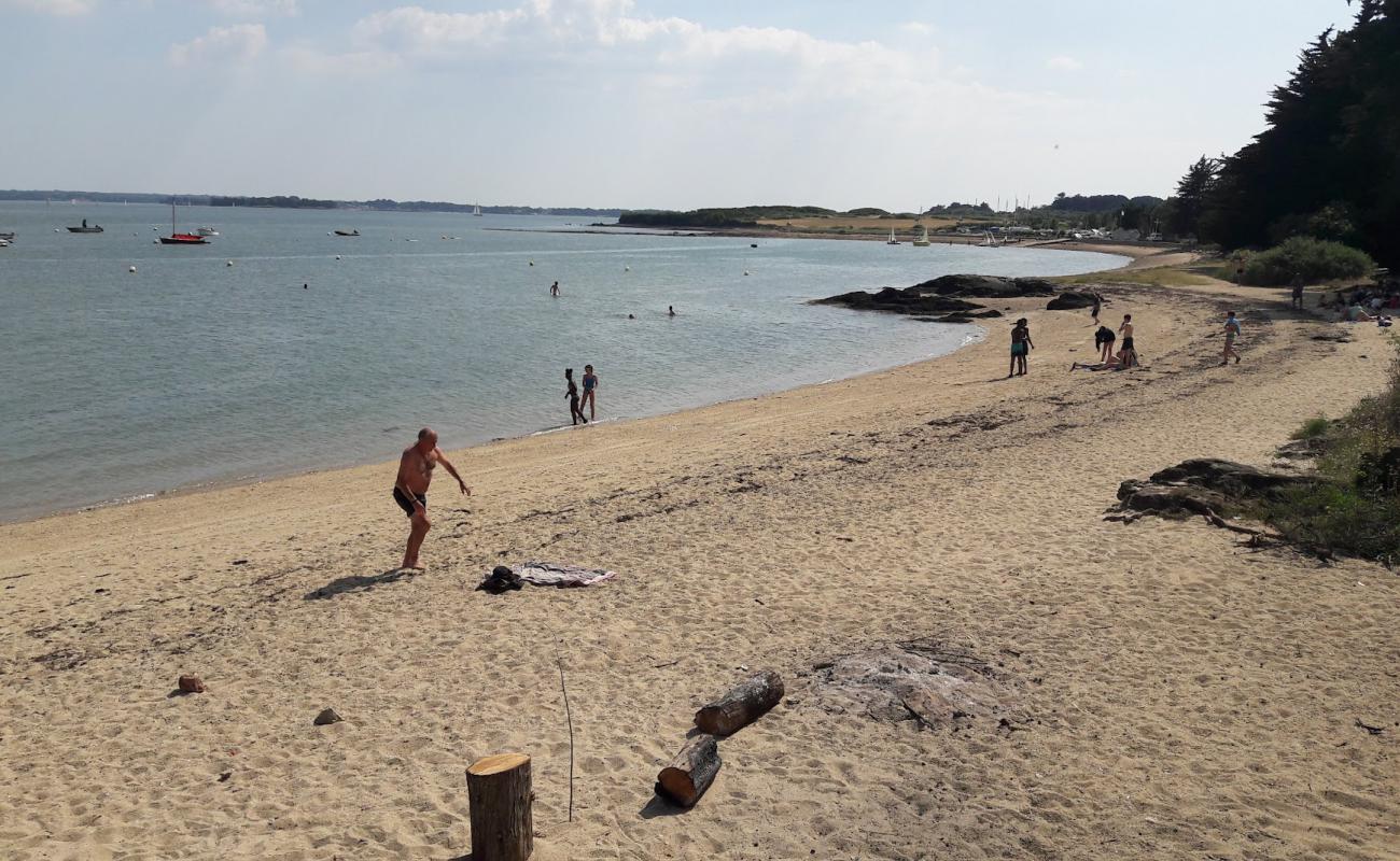 Foto de Plage de Penera con arena brillante superficie