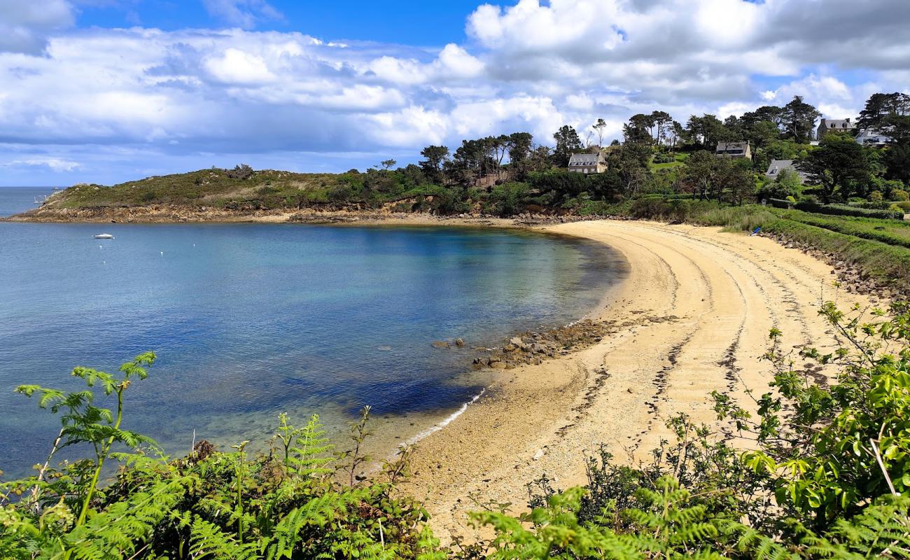 Foto de Plage du Cosmeur con arena brillante superficie