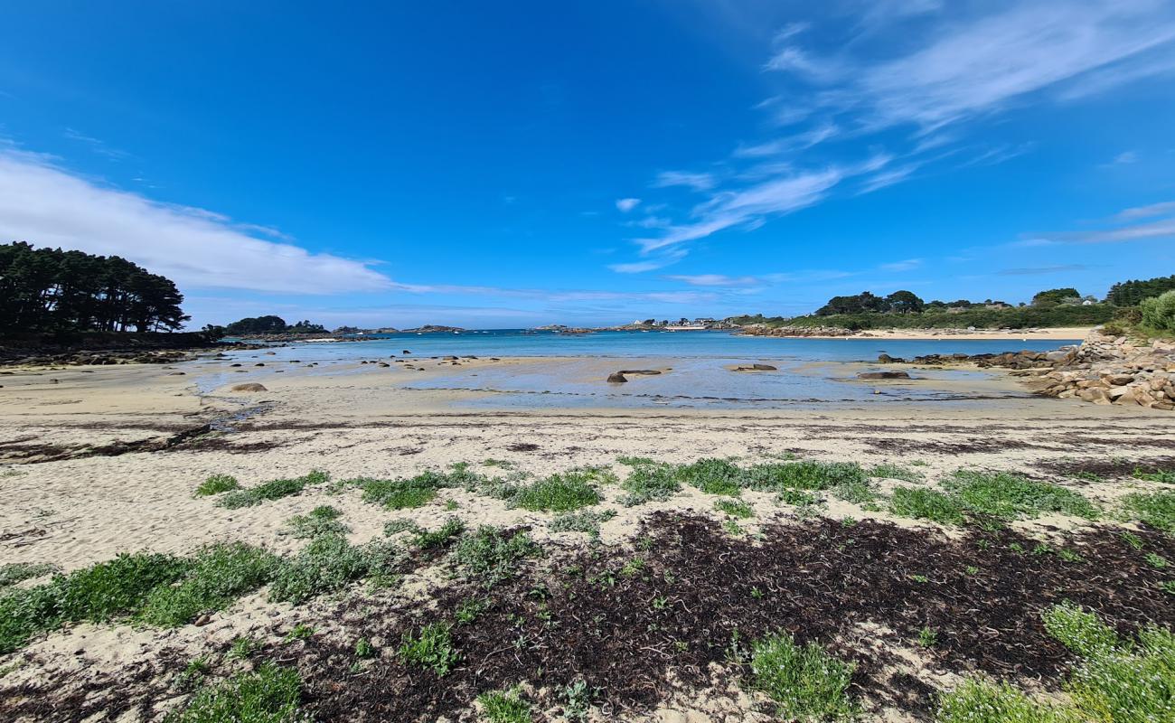 Foto de Plage du Grannec con arena brillante superficie