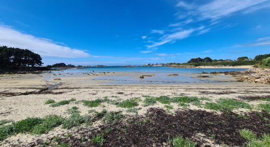 Plage du Grannec