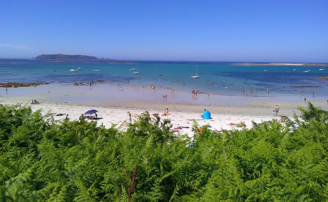 Foto de Plage de Keriec con arena brillante superficie