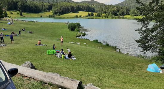 Plage du Lac Genin