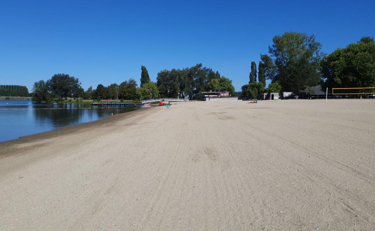 Foto de Plage du lac de Pont-l'Eveque con arena brillante superficie