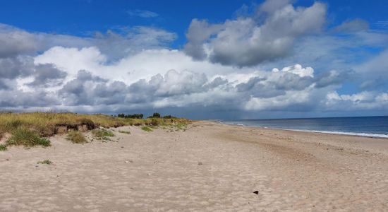 Plage De Gouberville