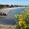 Plage La Ferme Du Bord De Mer