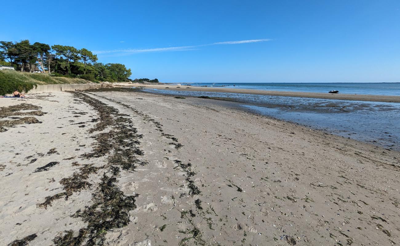 Foto de Plage de Jonville con arena brillante superficie