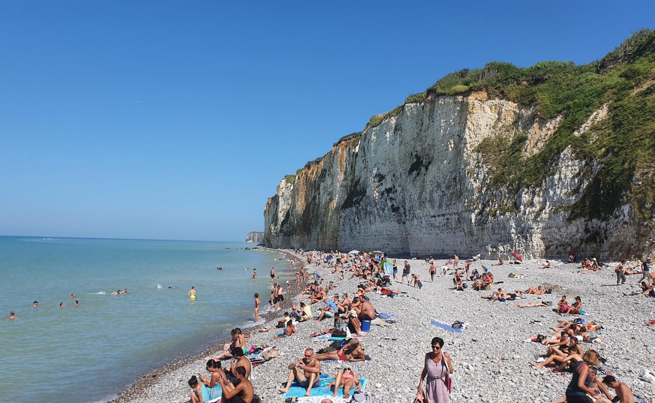 Foto de Plage de Veules-les-Roses con guijarro gris superficie