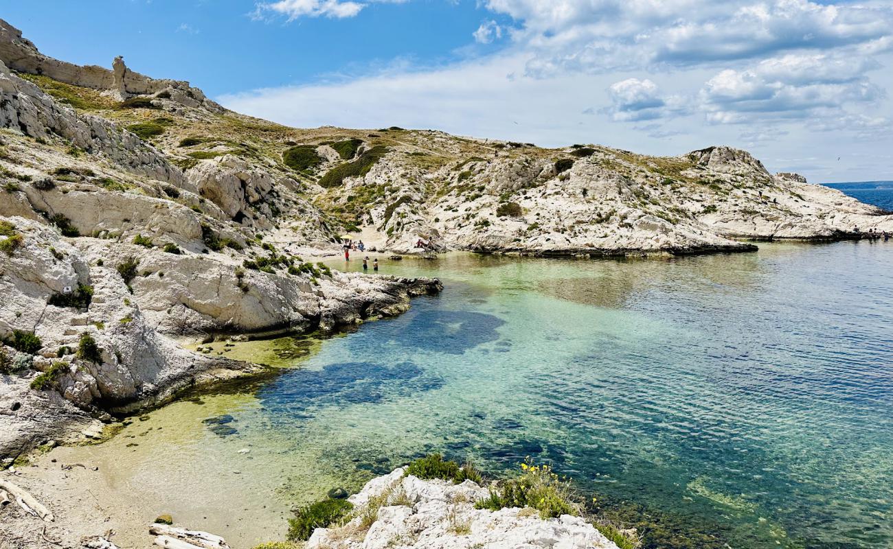 Foto de Calanque De La Crine con piedra superficie