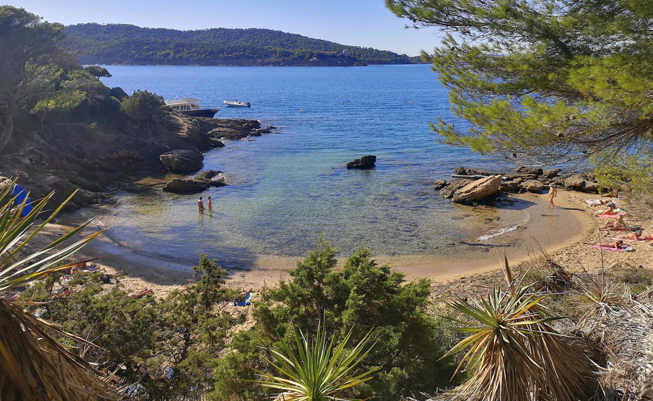 Foto de Plage Naturiste des Grottes con arena brillante superficie