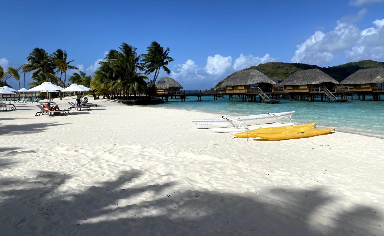 Foto de Playa de la Perla con arena fina blanca superficie