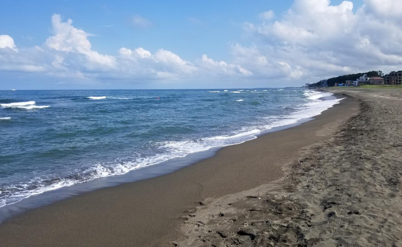 Foto de Shekvetili beach con arena negra superficie