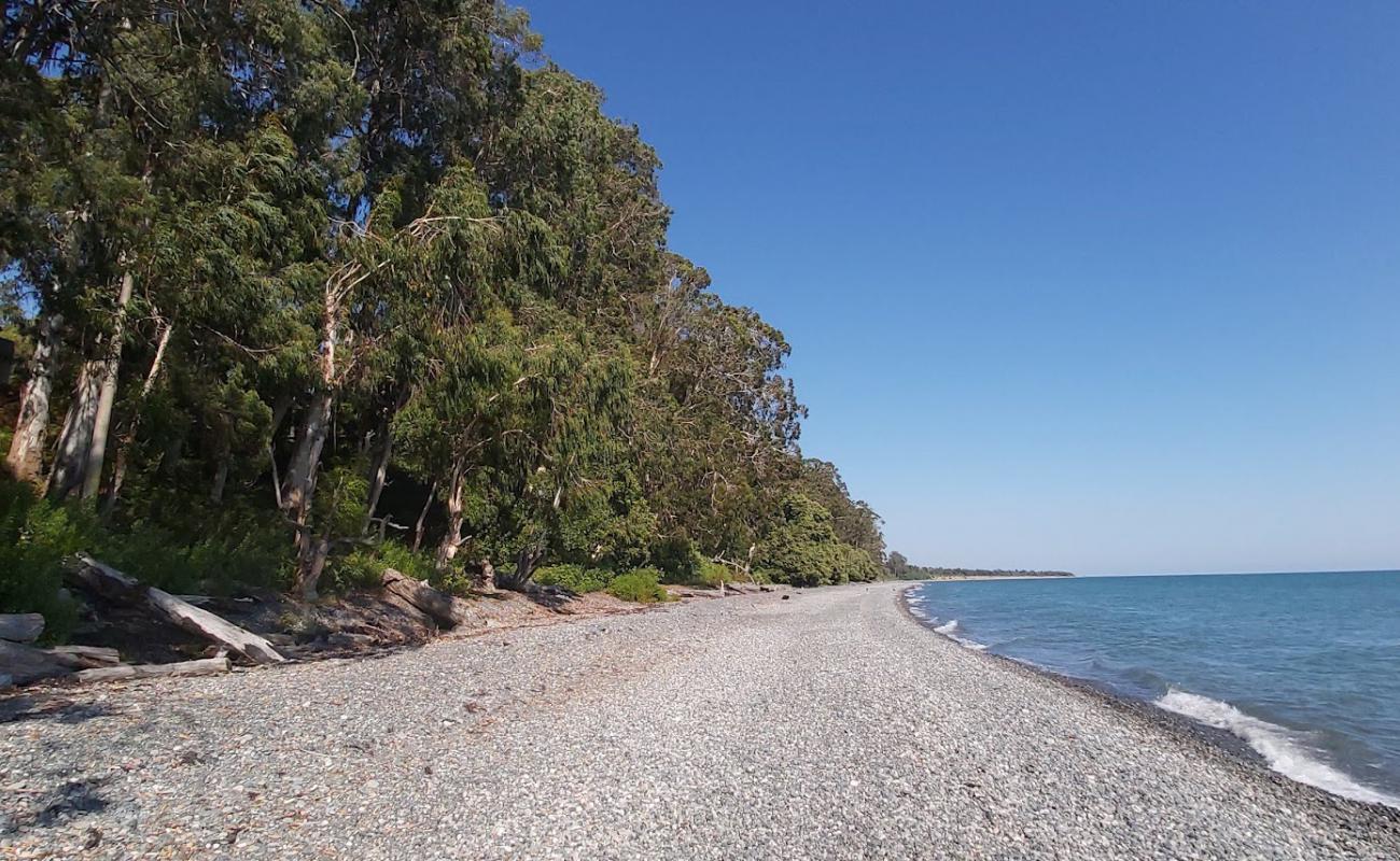 Foto de Akhali-Kindgi beach con guijarro gris superficie