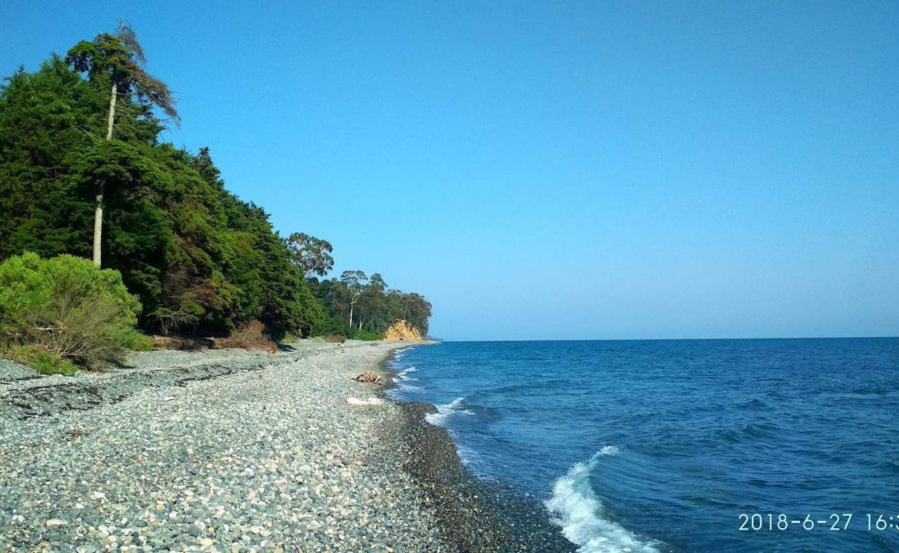 Foto de Tskurgili beach con guijarro ligero superficie