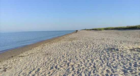 Playa de Schillig