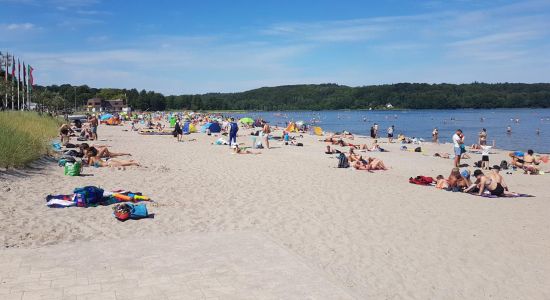 Playa de Wassersleben