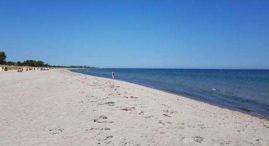 Playa de Kronsgaard