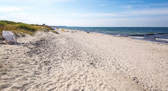 Strand Borgerende