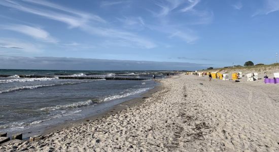 Strand Ahrenshoop