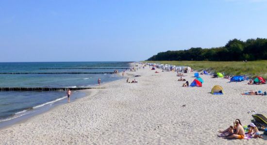 Sandstrand Zingst