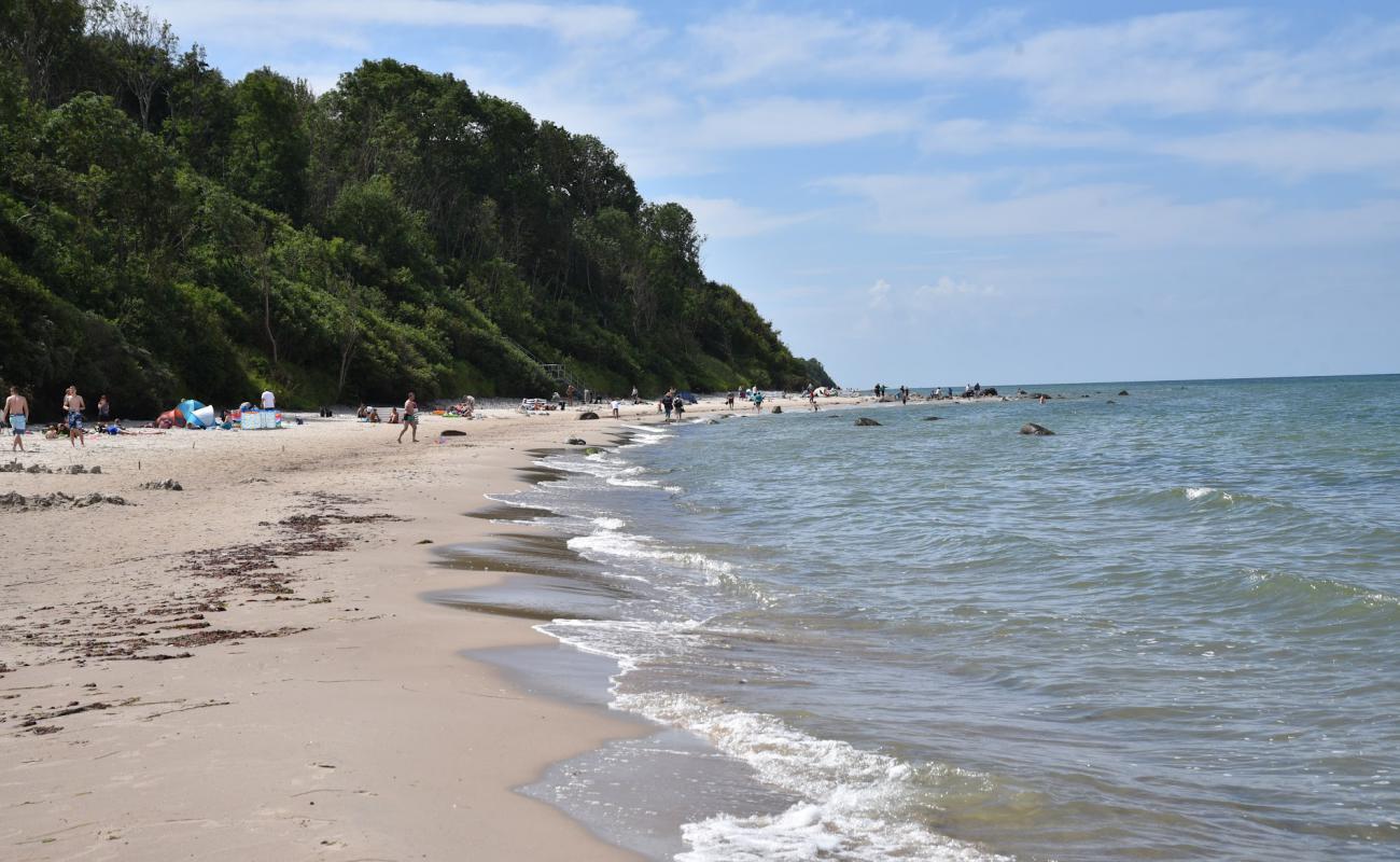 Foto de Der Bakenberg mit Ostseestrand con arena brillante superficie