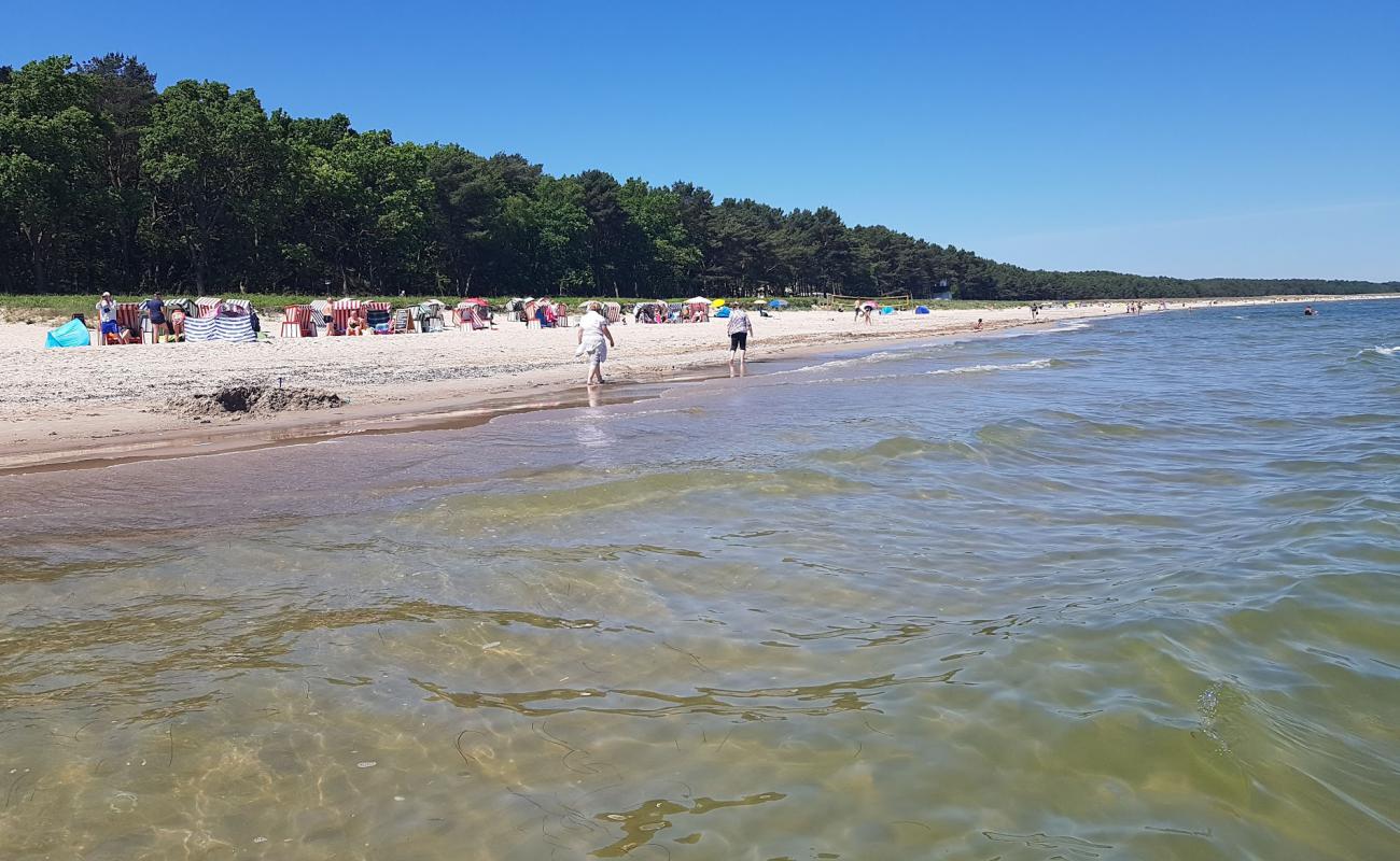 Foto de Strandkorbvermietung con arena brillante superficie