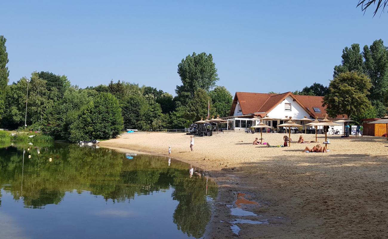 Foto de Eisklang am Salitos Beach con arena brillante superficie